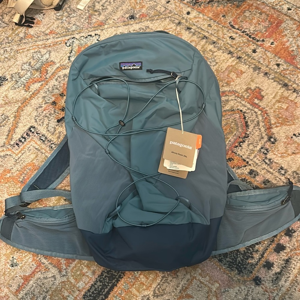Patagonia hiking pack back Brand new